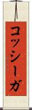 コッシーガ Scroll