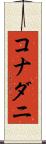 コナダニ Scroll