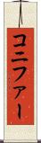 コニファー Scroll