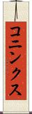 コニンクス Scroll