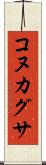 コヌカグサ Scroll