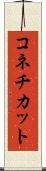 コネチカット Scroll