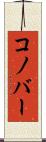 コノバー Scroll
