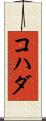 コハダ Scroll