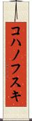 コハノフスキ Scroll