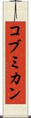 コブミカン Scroll