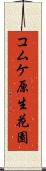 コムケ原生花園 Scroll