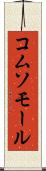 コムソモール Scroll
