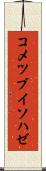 コメツブイソハゼ Scroll