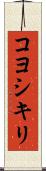 コヨシキリ Scroll