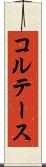 コルテース Scroll