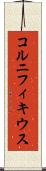 コルニフィキウス Scroll