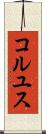 コルユス Scroll