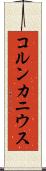 コルンカニウス Scroll