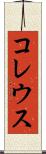 コレウス Scroll