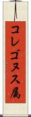 コレゴヌス属 Scroll