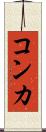 コンカ Scroll