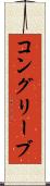 コングリーブ Scroll