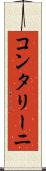 コンタリーニ Scroll
