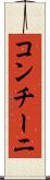 コンチーニ Scroll