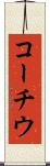コーチウ Scroll
