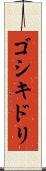 ゴシキドリ Scroll