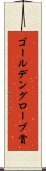 ゴールデングローブ賞 Scroll