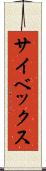 サイベックス Scroll