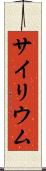 サイリウム Scroll