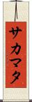 サカマタ Scroll