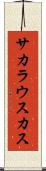 サカラウスカス Scroll