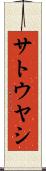 サトウヤシ Scroll