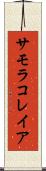 サモラコレイア Scroll
