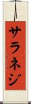 サラネジ Scroll