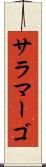 サラマーゴ Scroll