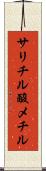サリチル酸メチル Scroll