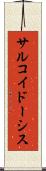 サルコイドーシス Scroll