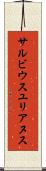 サルビウスユリアヌス Scroll