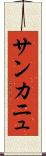 サンカニュ Scroll