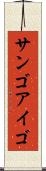 サンゴアイゴ Scroll