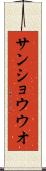 サンショウウオ Scroll