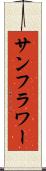 サンフラワー Scroll