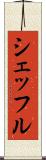 シェッフル Scroll