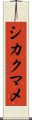シカクマメ Scroll