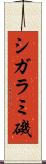シガラミ磯 Scroll