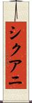 シクアニ Scroll