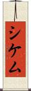 シケム Scroll
