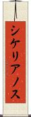 シケリアノス Scroll