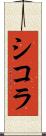 シコラ Scroll