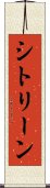 シトリーン Scroll